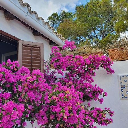 Villa Tonnara San Vito Lo Capo Exteriér fotografie